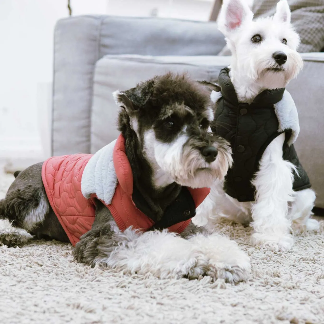 TOUCHDOG Trucker Jacket (Black)