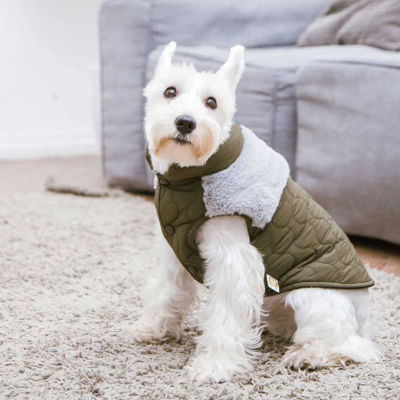 TOUCHDOG Trucker Jacket (Black)